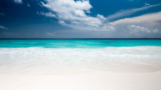 海岸から臨む海