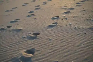 砂浜の足跡